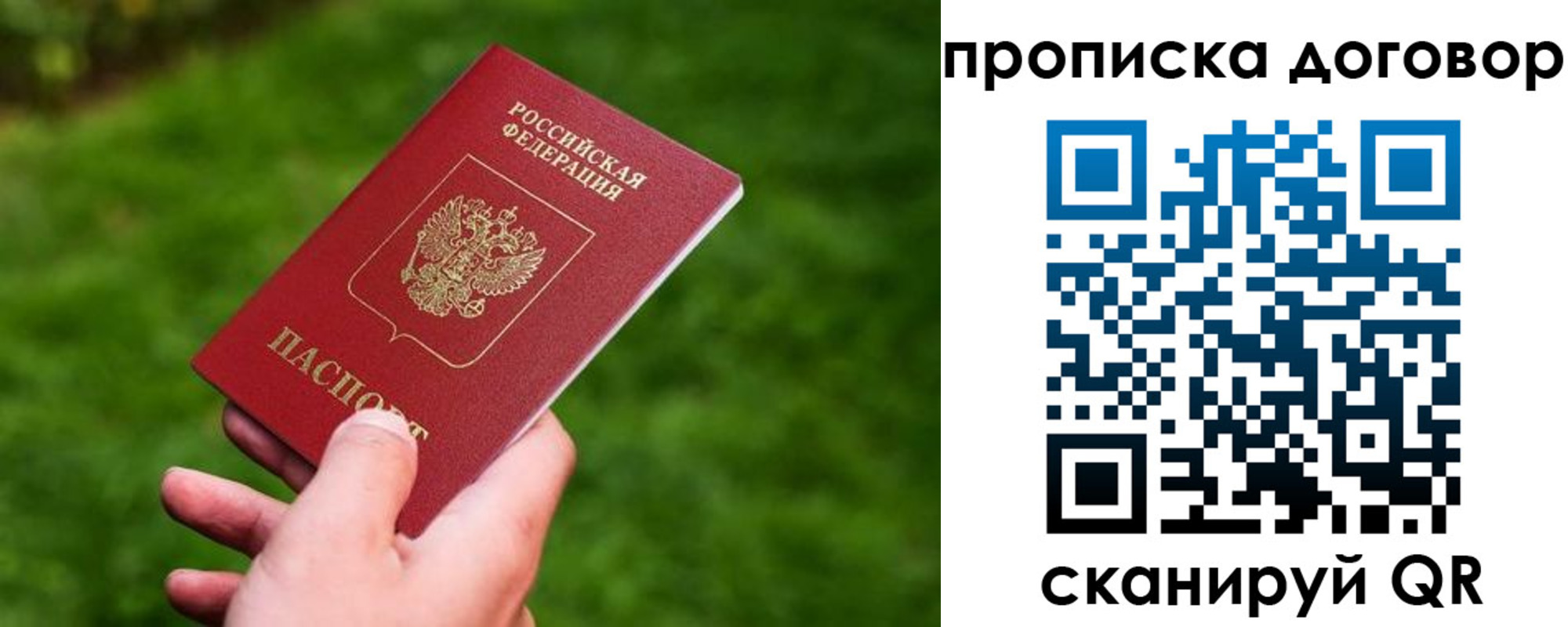 прописка гарантия в Белгороде